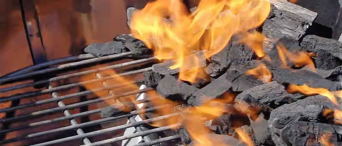 Best charcoal grill cookbook