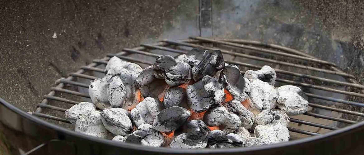 Best coal barbeque grill