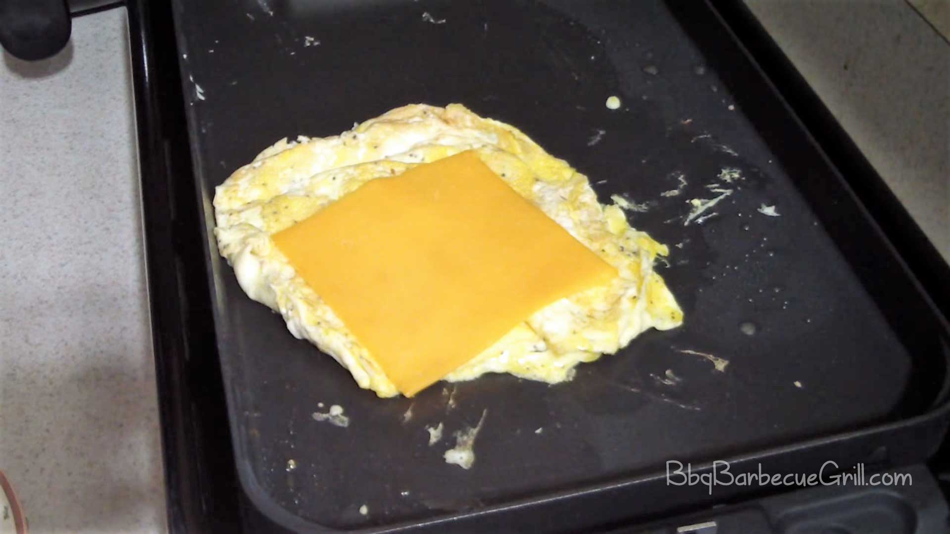 Best Electric Kitchen Griddles in 2022 BBQ, Grill