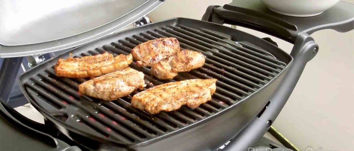 Best weber electric grill