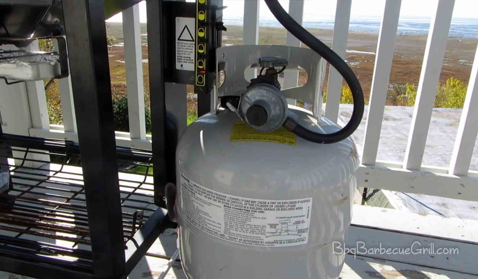 Make Your Choice Electric grill vs propane grill BBQ, Grill