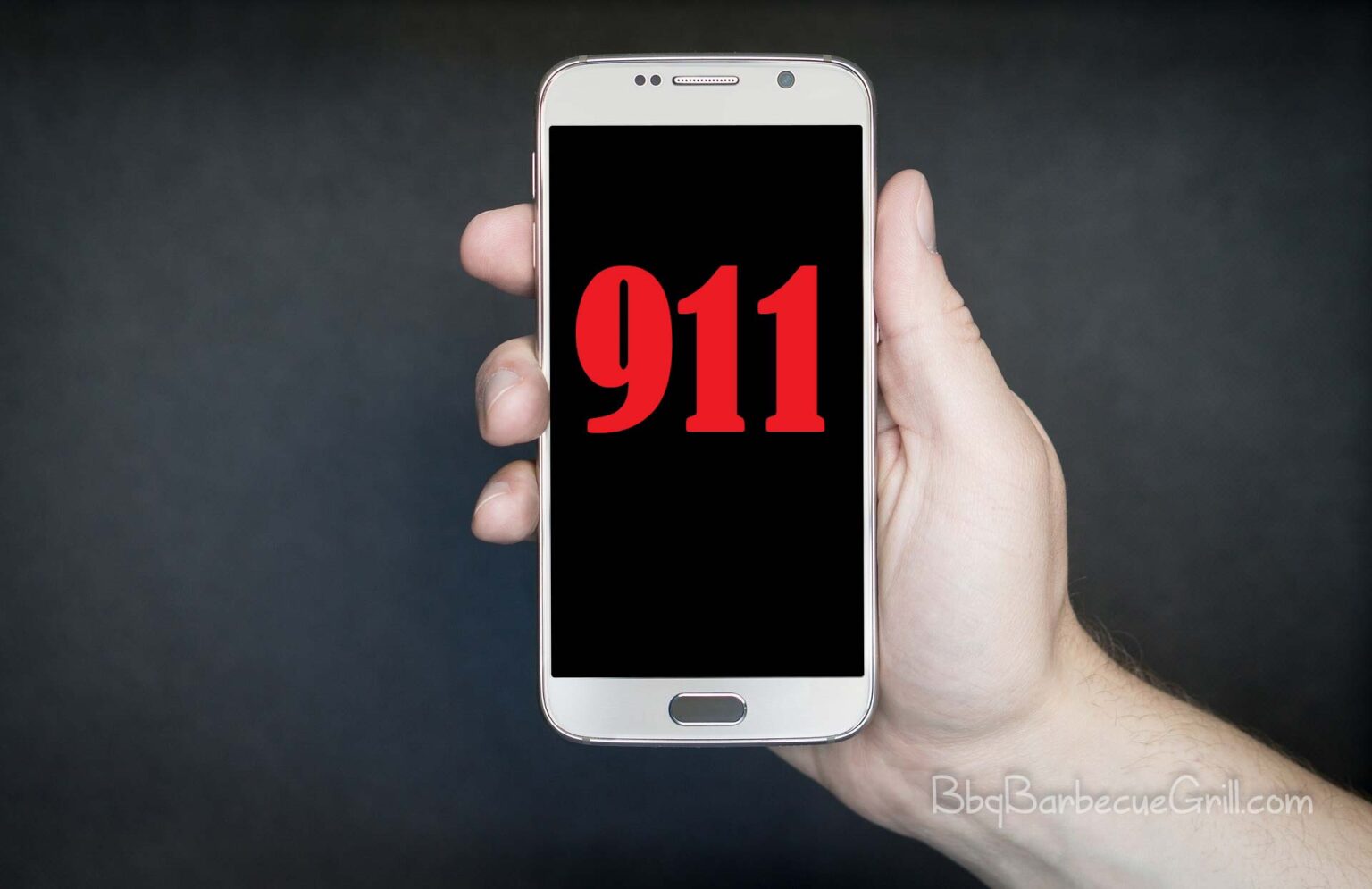 Gas BBQ Tips for Beginners BBQ, Grill