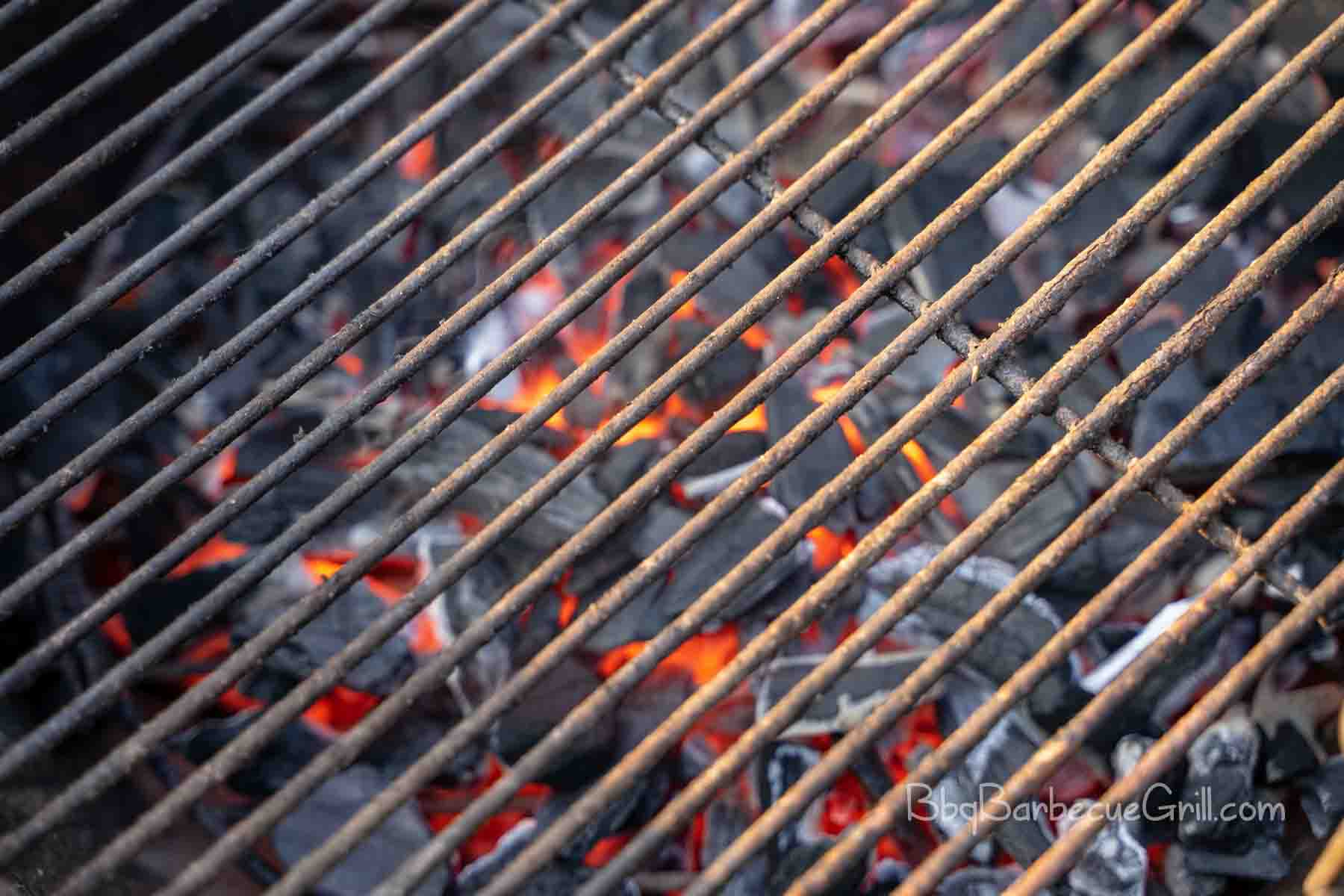 Rust on weber grill grates
