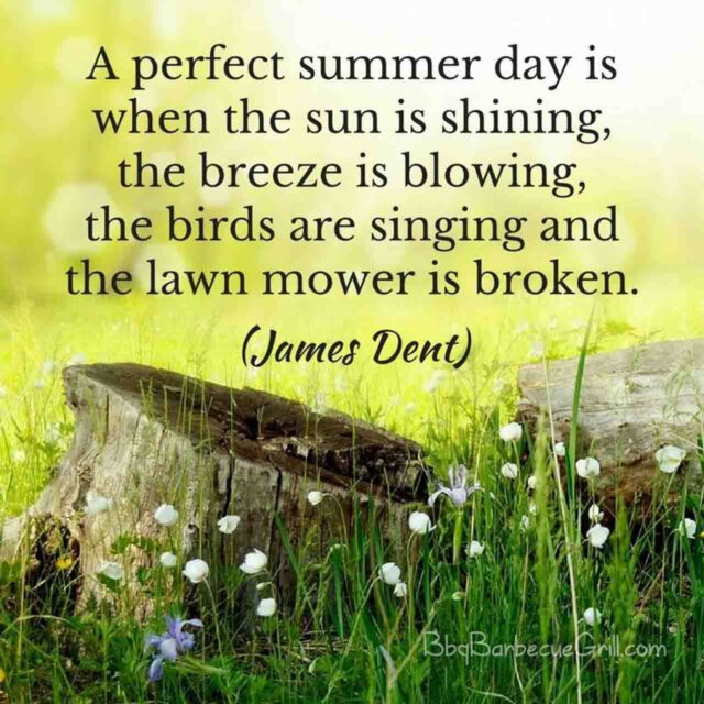 A perfect summer day is when the sun is shining, the breeze is blowing, the birds are singing and the lawn mower is broken. (James Dent)