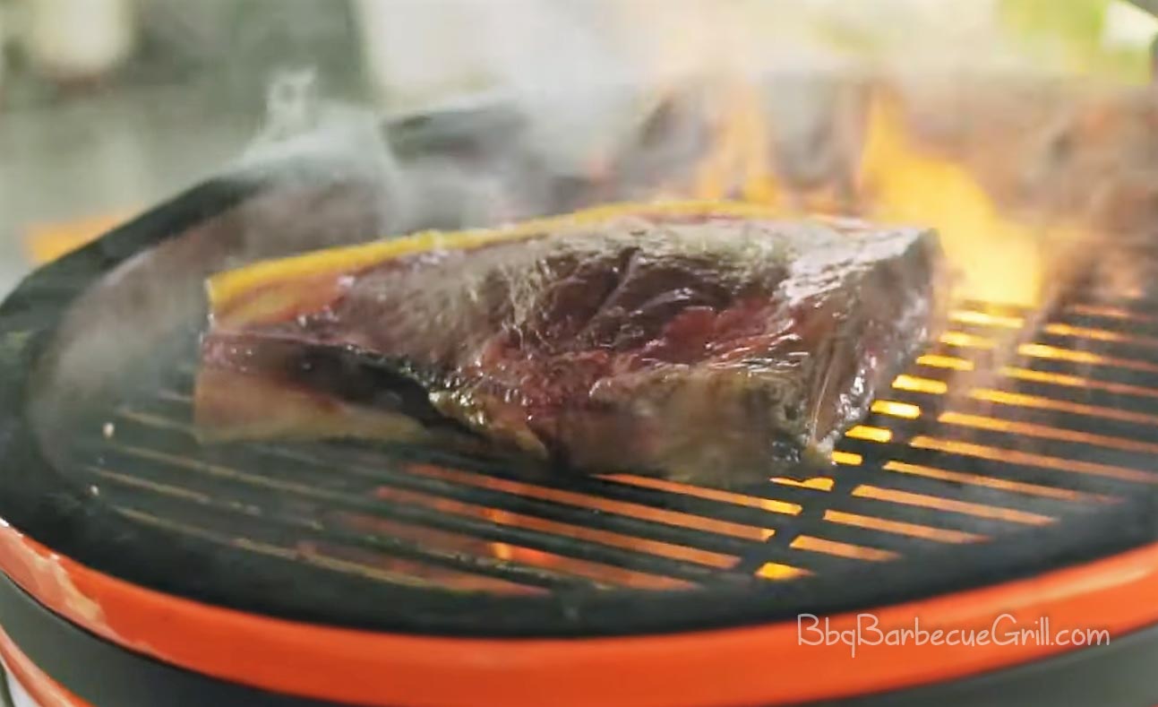 The Kamado Smoker & Grill Cookbook BBQ, Grill