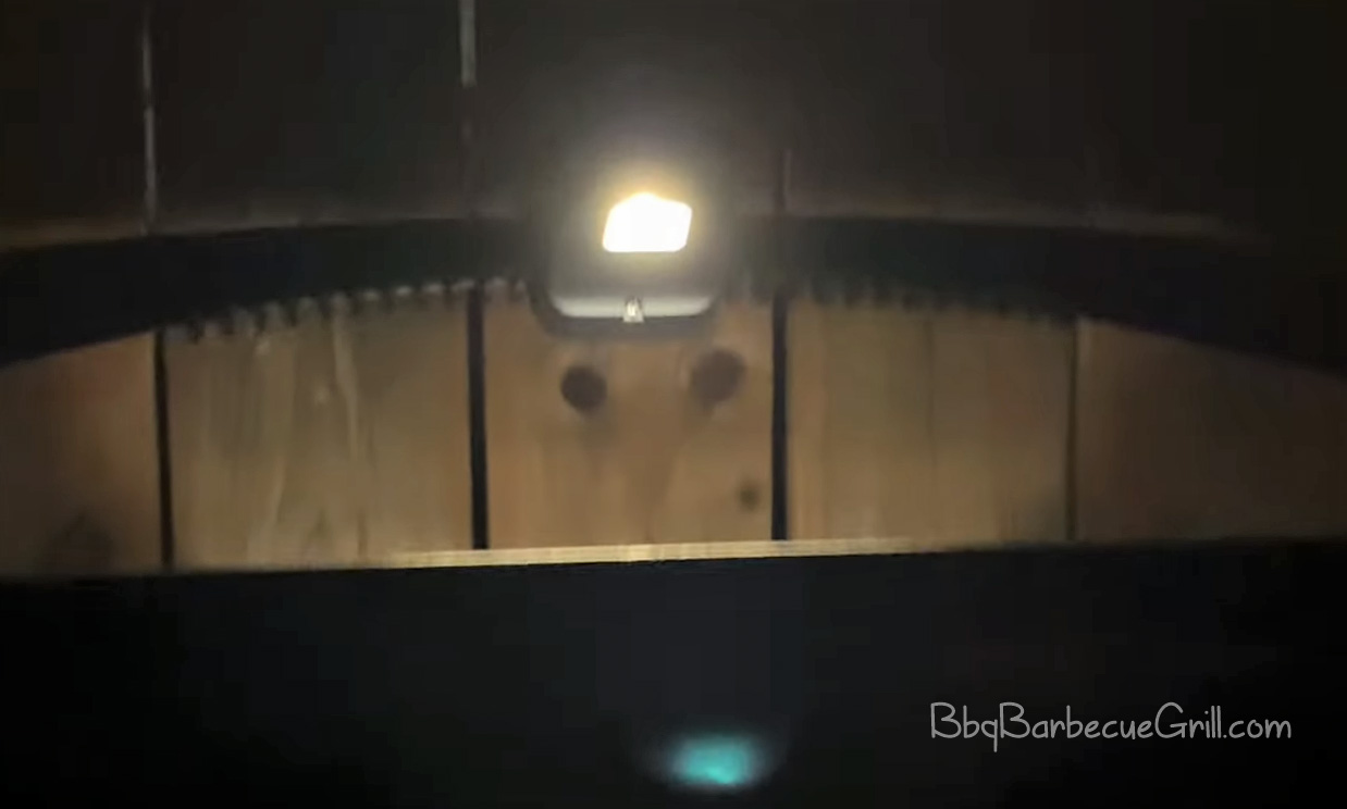 Weber 7661 Light for A Perfect NightTime Grilling BBQ, Grill