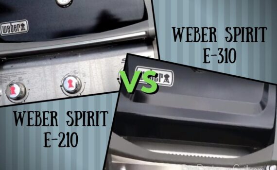 Weber Spirit E-210 Vs E-310