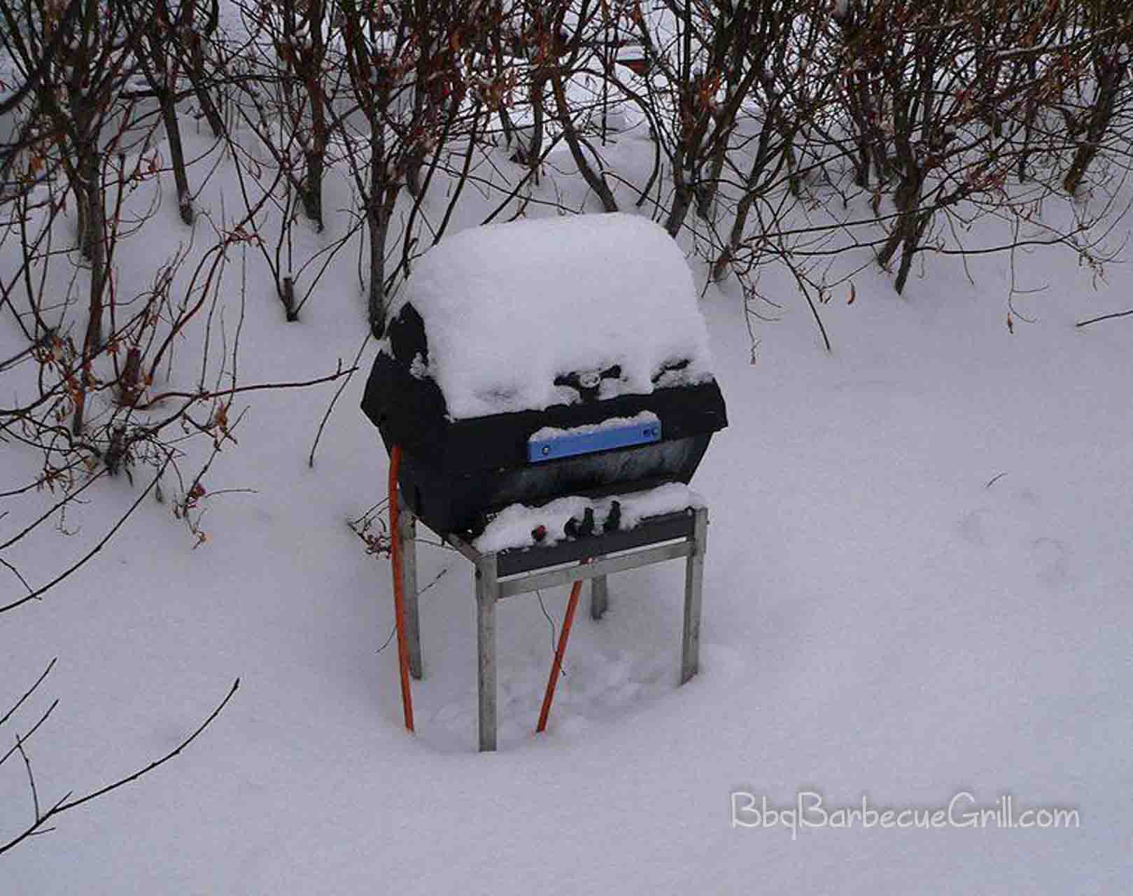 Winter grilling 1
