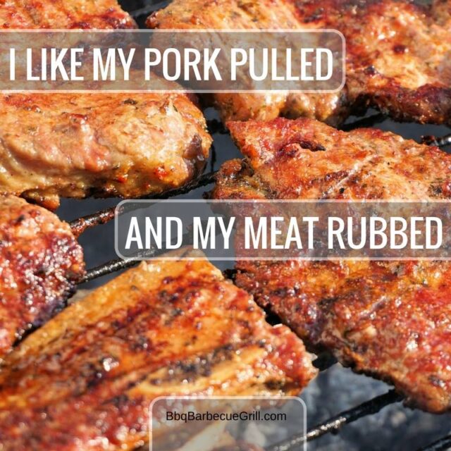 Funny Bbq Quotes - I like my pork pulled and my meat rubbed.